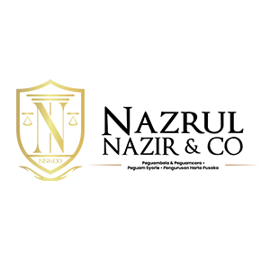 Logo Nazrul Nazir & Co